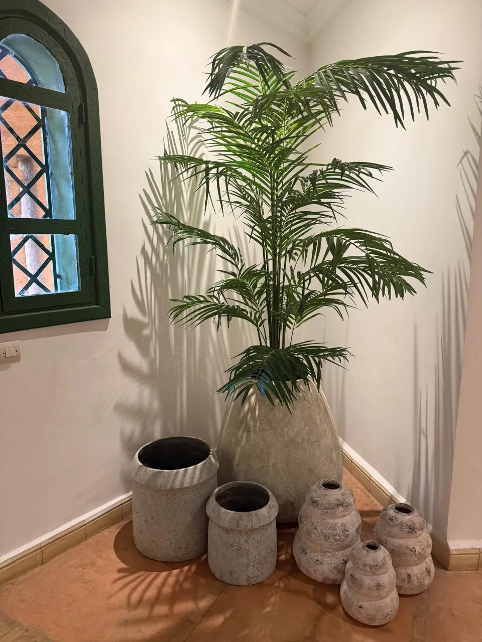 Corner with palm tree and ceramic pots by a green window